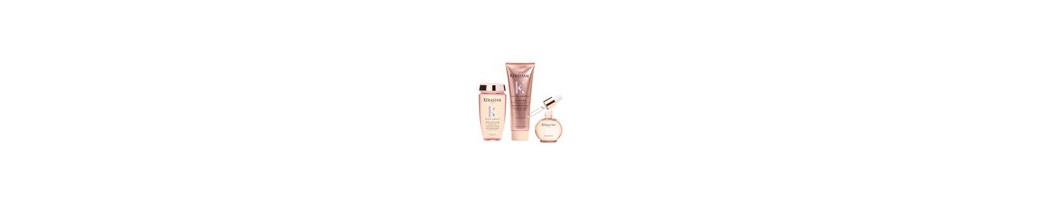 Gloss Absolu